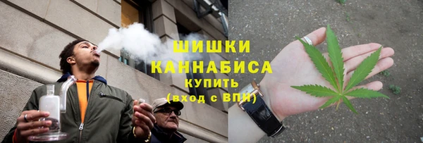 сатива Нея