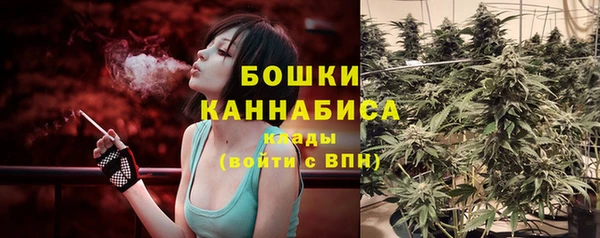 сатива Нея