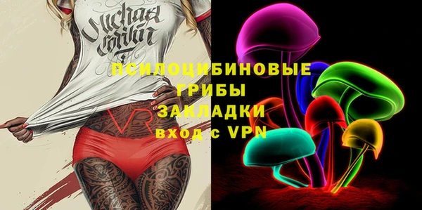 гашик Тында