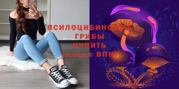 каннабис Туринск
