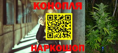 гашик Берёзовский