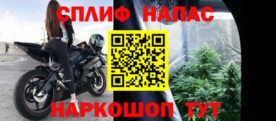 PSILOCYBIN Азнакаево