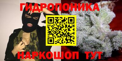 эйфоретик Абинск