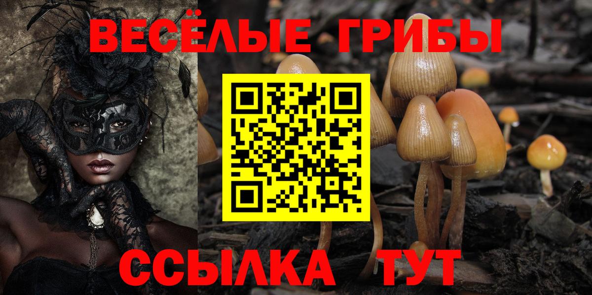 Галлюциногенные грибы MAGIC MUSHROOMS  Вход с VPN  Псилоцибиновые грибы Psilocybine cubensis  Алейск 