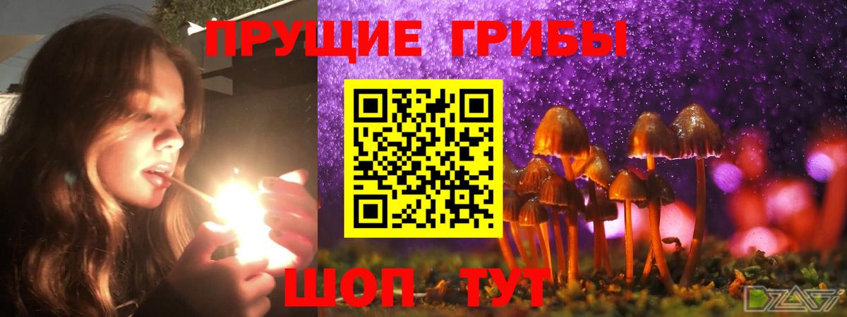Галлюциногенные грибы мухоморы Алейск
