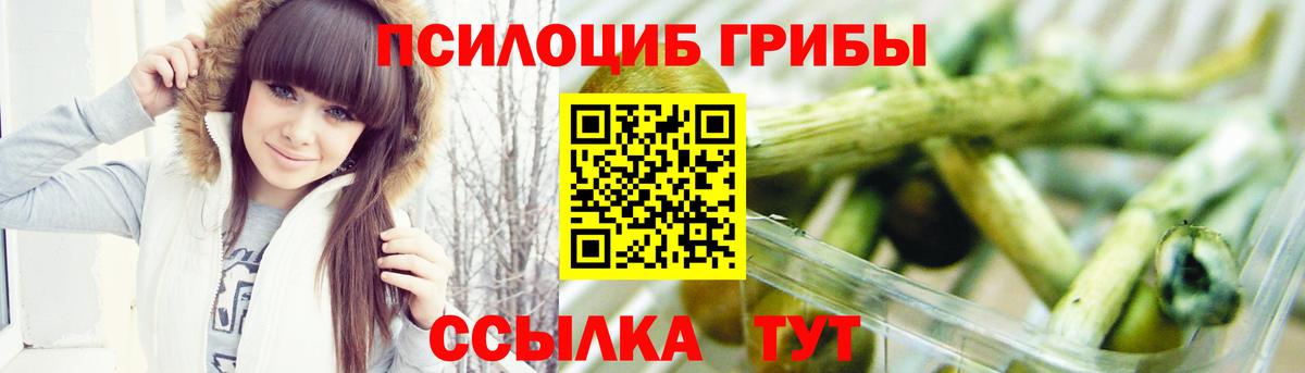 Псилоцибиновые грибы MAGIC MUSHROOMS  Вход с VPN  Галлюциногенные грибы Psilocybe  Алейск 