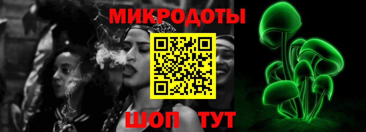 магазин  наркотиков  Алейск  Псилоцибиновые грибы прущие грибы 