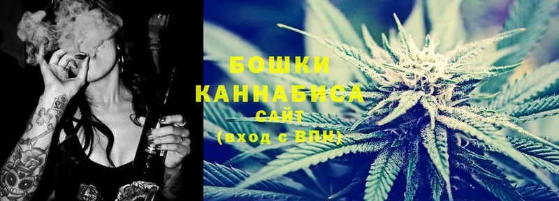 Каннабис OG Kush  Алейск 